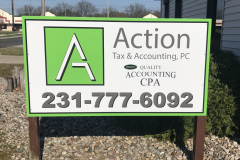 Action-Accounting-Panel