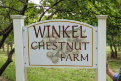 Winkel-Chestnut-Panel